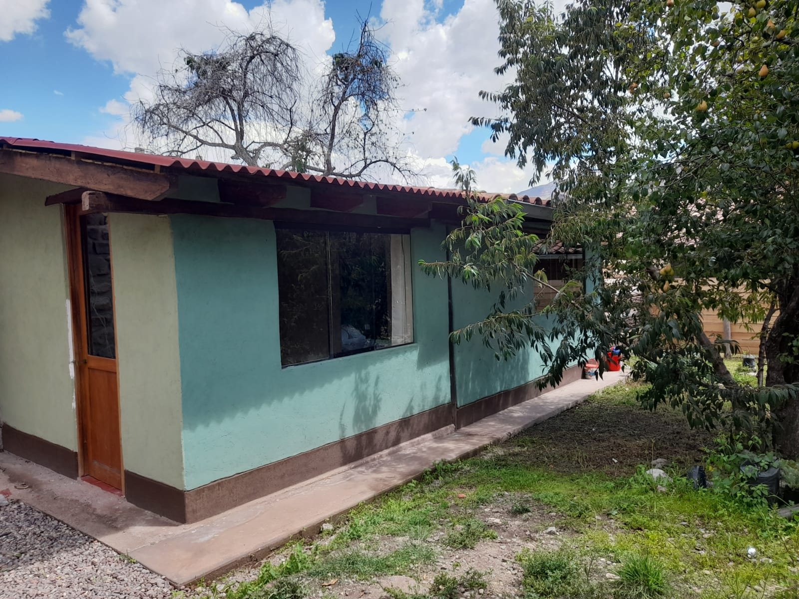 Fachada verde de la casa junto a un árbol frutal
